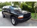 Black - Durango SXT 4x4 Photo No. 13