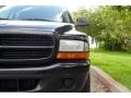 Black - Durango SXT 4x4 Photo No. 18