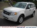 2010 White Suede Ford Escape XLT  photo #2