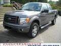 2010 Sterling Grey Metallic Ford F150 STX SuperCab 4x4  photo #2