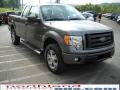 2010 Sterling Grey Metallic Ford F150 STX SuperCab 4x4  photo #4