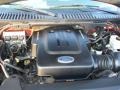 2003 Laser Red Tinted Metallic Ford Expedition XLT 4x4  photo #14