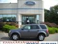 2010 Sterling Grey Metallic Ford Escape XLT 4WD  photo #1