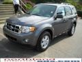 2010 Sterling Grey Metallic Ford Escape XLT 4WD  photo #2