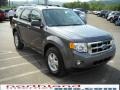 2010 Sterling Grey Metallic Ford Escape XLT 4WD  photo #4