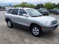 Smart Silver - Santa Fe GLS Photo No. 5