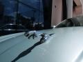 Seafrost Metallic - XJ XJ8 Photo No. 11