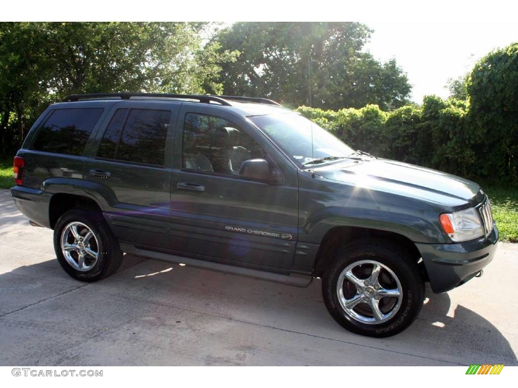 2002 Grand Cherokee Overland 4x4 - Onyx Green Pearlcoat / Dark Slate Gray/Light Slate Gray photo #9