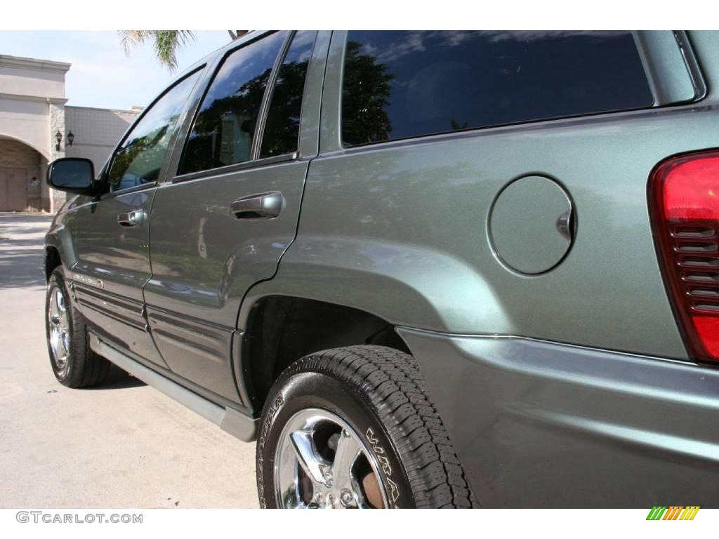 2002 Grand Cherokee Overland 4x4 - Onyx Green Pearlcoat / Dark Slate Gray/Light Slate Gray photo #14