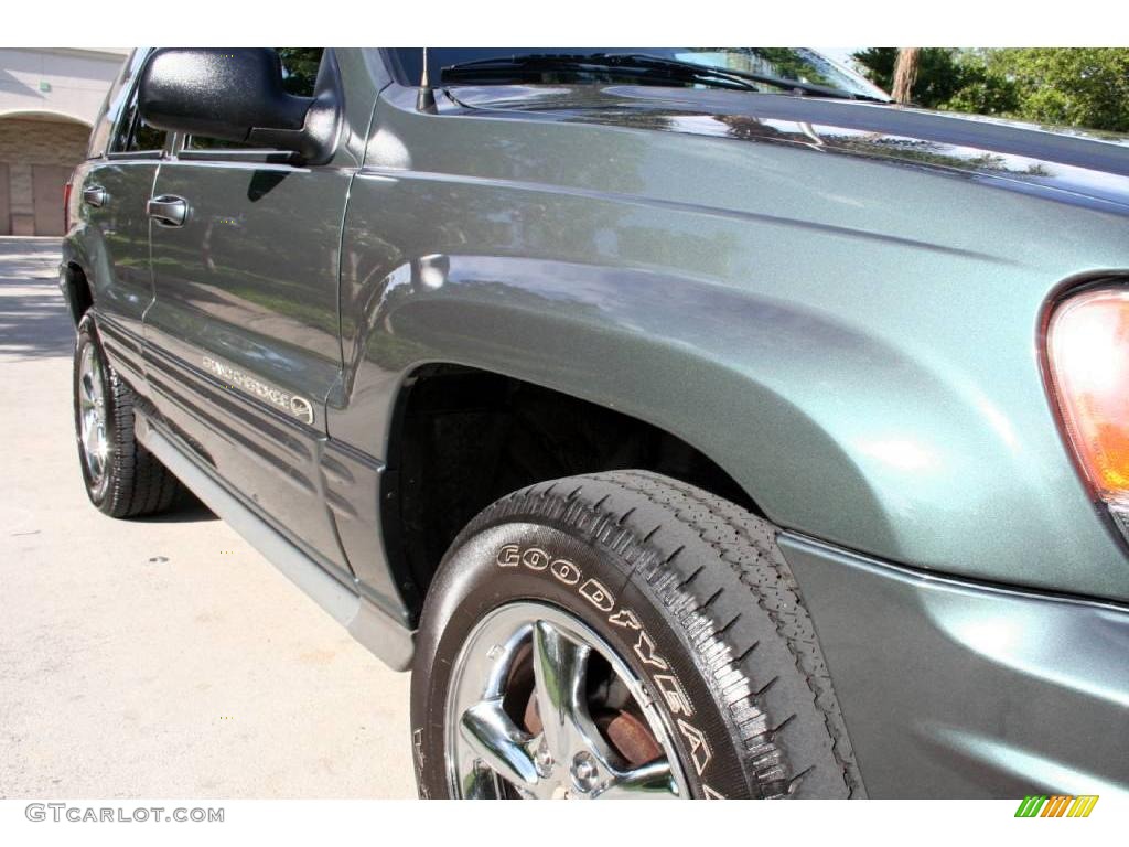 2002 Grand Cherokee Overland 4x4 - Onyx Green Pearlcoat / Dark Slate Gray/Light Slate Gray photo #16