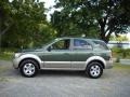 2005 Ivy Green Metallic Kia Sorento LX 4WD  photo #2