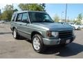 2004 Vienna Green Land Rover Discovery HSE  photo #1