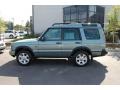 2004 Vienna Green Land Rover Discovery HSE  photo #2