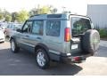 2004 Vienna Green Land Rover Discovery HSE  photo #19