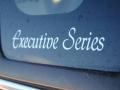Light Saddle Metallic - Town Car Executive Photo No. 26