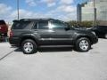 Shadow Mica - 4Runner SR5 Photo No. 5