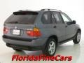 Steel Grey Metallic - X5 3.0i Photo No. 2