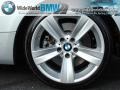 2007 Titanium Silver Metallic BMW 3 Series 335i Coupe  photo #8