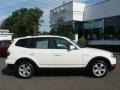 Alpine White - X3 3.0si Photo No. 1