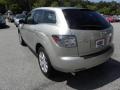 Liquid Platinum Metallic - CX-7 Touring Photo No. 15