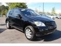 Black - ML 350 4Matic Photo No. 1