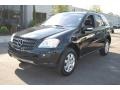 Black - ML 350 4Matic Photo No. 15