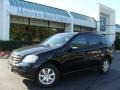 Black - ML 350 4Matic Photo No. 1