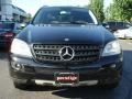Black - ML 350 4Matic Photo No. 2