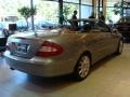Pewter Metallic - CLK 350 Cabriolet Photo No. 6