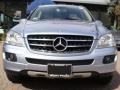 Alpine Rain Metallic - ML 350 4Matic Photo No. 2