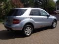Alpine Rain Metallic - ML 350 4Matic Photo No. 4