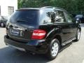 Black - ML 350 4Matic Photo No. 3