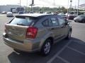 Light Khaki Metallic - Caliber SE Photo No. 5