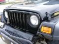 Black - Wrangler Sport 4x4 Golden Eagle Photo No. 11