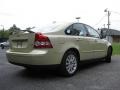 2005 Safari Green Metallic Volvo S40 2.4i  photo #8