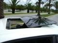 White - Monte Carlo SS Photo No. 4