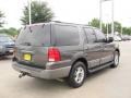2003 Dark Shadow Grey Metallic Ford Expedition XLT  photo #5