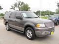 2003 Dark Shadow Grey Metallic Ford Expedition XLT  photo #7