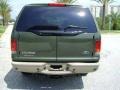 2004 Estate Green Metallic Ford Excursion Eddie Bauer 4x4  photo #12