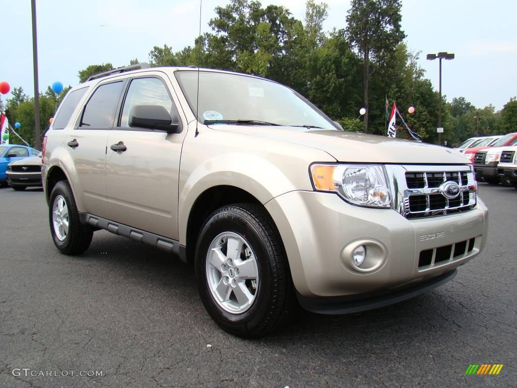 Gold Leaf Metallic 2010 Ford Escape XLT Exterior Photo #18125137