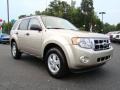 Gold Leaf Metallic 2010 Ford Escape XLT Exterior