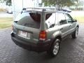 2006 Titanium Green Metallic Ford Escape XLT  photo #16