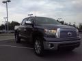 2010 Slate Gray Metallic Toyota Tundra Platinum CrewMax  photo #1