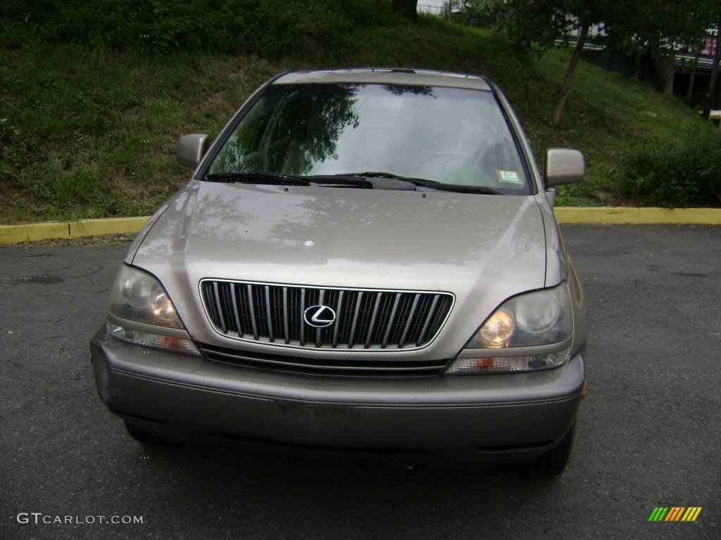 1999 RX 300 AWD - Burnished Gold Metallic / Ivory photo #1