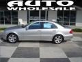Brilliant Silver Metallic - E 500 Sedan Photo No. 1