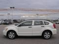 Stone White - Caliber SXT Photo No. 6