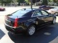 Black Raven - CTS 3.0 Sedan Photo No. 4