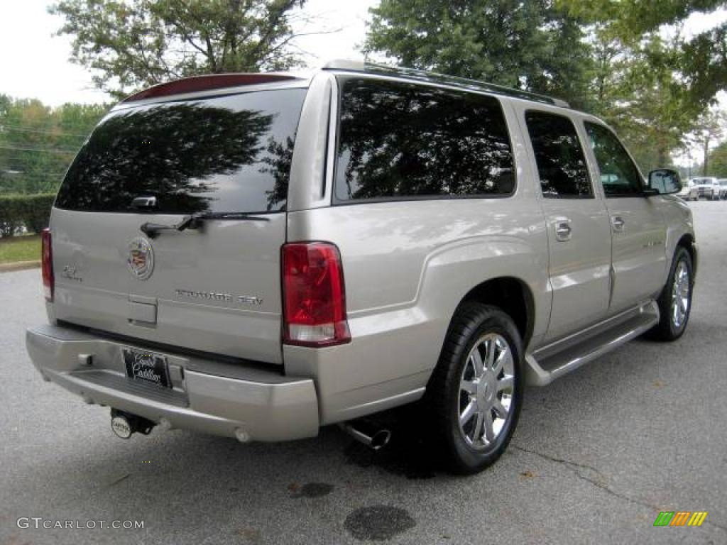 2006 Escalade ESV AWD - Quicksilver / Shale photo #4