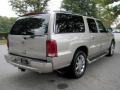 Quicksilver - Escalade ESV AWD Photo No. 4