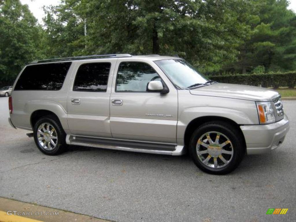 2006 Escalade ESV AWD - Quicksilver / Shale photo #5